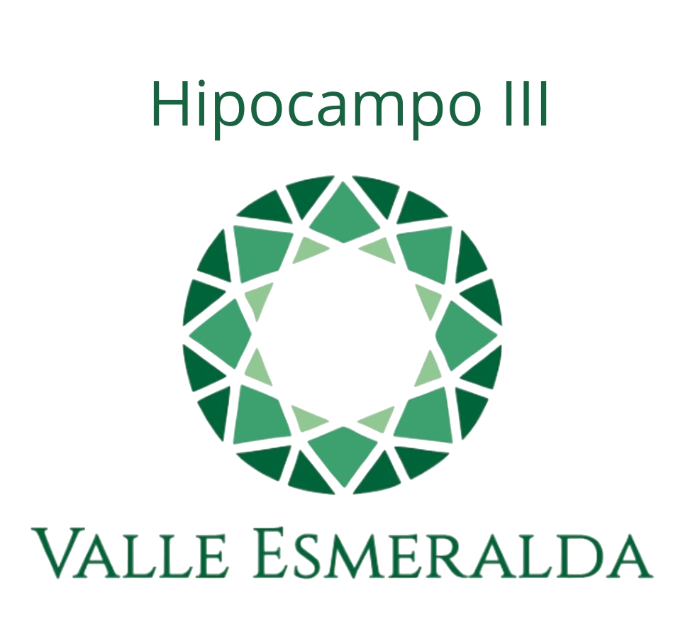 Logo Hipocampo III Valle Esmeralda